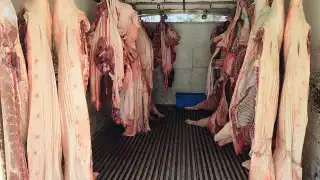 Por falta de mantenimiento, hace 20 días el AFA funciona al 30% de su capacidad de refrigeración