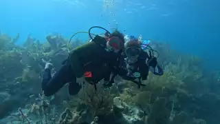  Buceadoras  protegen un refugio  pesquero de  San Felipe; documentan la presencia de especies marinas