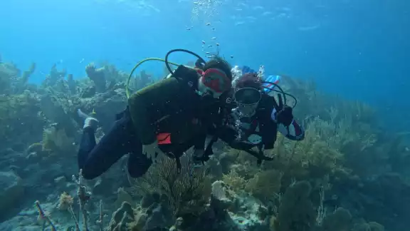 Pescadores y buzas de San Felipe se encargan de vigilar y proteger la ZRP Actum Chuleb