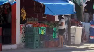 De regalado a caro: limón sube en mercados locales