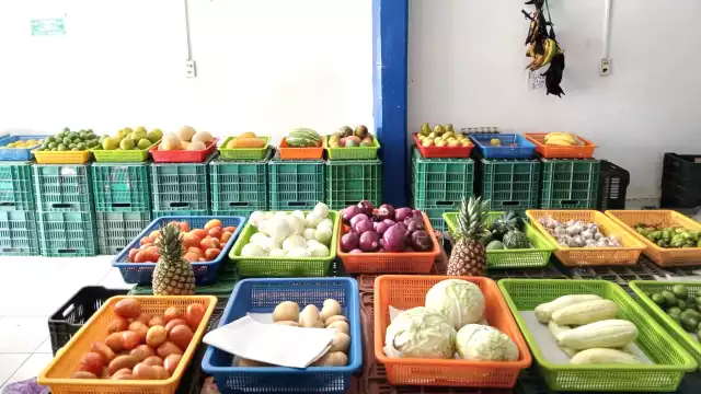 a caja de naranja, que costaba 200 pesos hace un año, ahora alcanza los 400, duplicando su valor