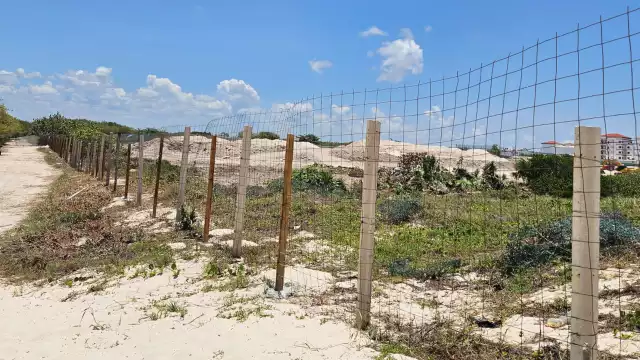 Vegetación nativa fue eliminada en una zona de alto valor ambiental, sin intervención de autoridades