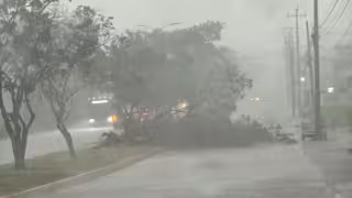 Intensa lluvia con turbonada derriba árboles e inunda calles en Campeche; avanza a estos municipios