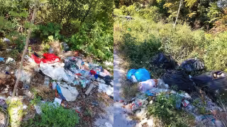 Habitantes de Isla Aguada continúan arrojando basura en veredas y terrenos baldíos.