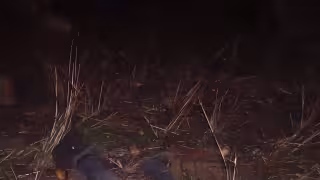 Viajaba en la batea de una camioneta tras pedir aventón.