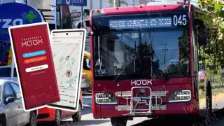 ARTEC lanza app Ko’ox Contigo para usuarios del transporte público