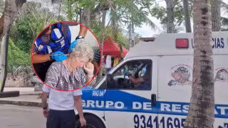 Ataque de abejas africanizadas deja al menos 13 lesionados en Bacalar.