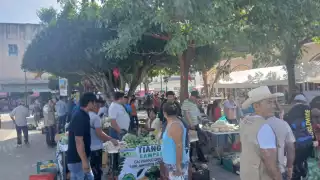 Participaron más de 40 Comunidades de Aprendizaje Campesino (CAC) pertenecientes a ejidos de la región.