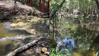 La obra contará con autorización ambiental condicionada emitida por Semarnat.