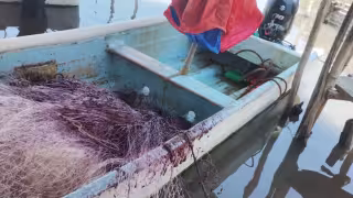 Pescadores de Ciudad del Carmen reportan redes contaminadas con petróleo.