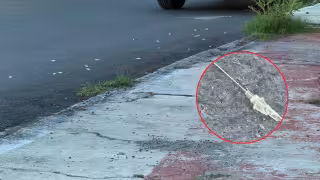 Hallan alrededor de 80 agujas de jeringas tiradas en la colonia San Patricio, en Champotón.