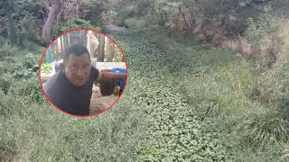 Piden limpiar dren y retirar enjambre de abejas en colonia Fertimex