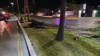 Madrugada aparatosa en Cancún: Reportan accidentes en el  boulevard Kukulcán y  Colosio  