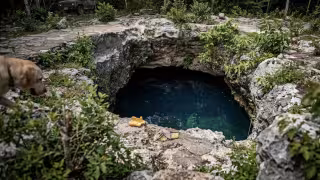 Autoridades y grupos de rescate comenzaron con inmersiones de búsqueda en el cenote de la UADY.