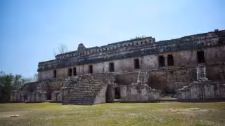 Autoridades llamaron a visitantes a no molestar a las abejas