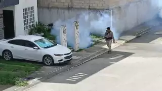 La zonas de Villas del Sol y Palmas 1 tienen la mayor prevalencia de contagios de dengue