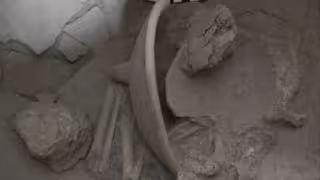 El Tren Maya aporta hallazgos funerarios que enriquecen la historia maya