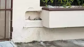 Nueva modalidad de robo afecta a familias de Ciudad del Carmen; los dejan sin medidores de agua