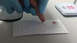 Colectivos abren ‘la rendija’ en Quintana Roo; realizan muestras genéticas para localizar a personas desaparecidas  