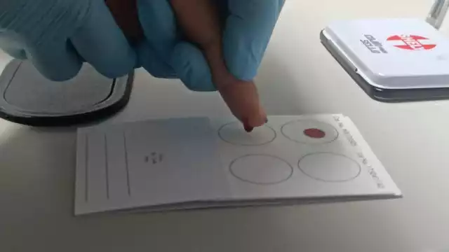 Muestras de genética en Quintana Roo por petición de colectivos de búsqueda