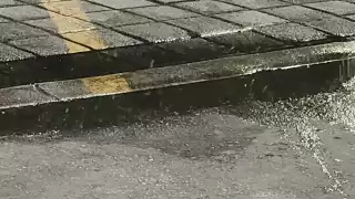 Denuncian malos olores por aguas negras en supermercado de Chetumal