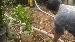 Incendio de una palapa en Felipe Carrillo Puerto moviliza a cuerpos de emergencia 