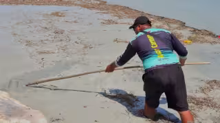 Malos olores en el malecón afectan imagen turística de Sabancuy