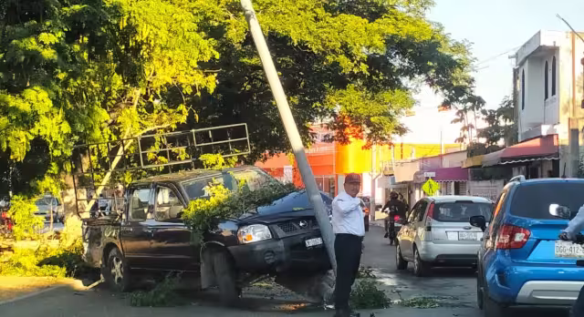 La camioneta se proyectó contra un área verde y chocó contra un poste de alumbrado