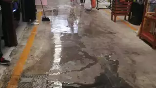 Comerciantes exigen soluciones ante riesgo a la salud en el mercado de Carmen