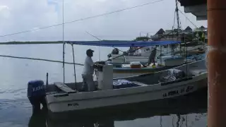 Pescadores de Yucatán invierten hasta 10 mp para el inicio de la temporada de pulpo