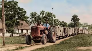 Colonia Yucatán cumple 90 años: así será la gran celebración en la comisaría de Tizimín