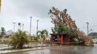 Municipios de Yucatán se quedan “bajo el agua” tras las fuertes lluvias; reportan inundaciones, árboles y postes caídos