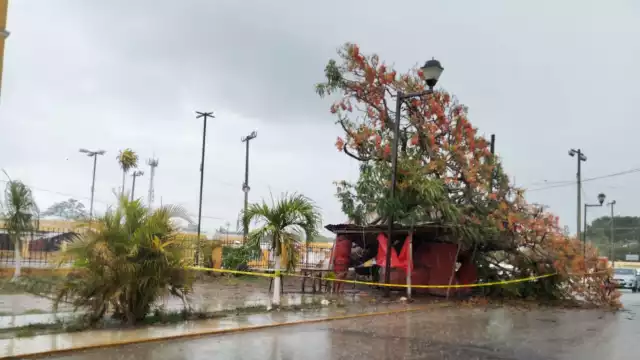 Diversas comunidades reportan inundaciones, fallas de energía eléctrica y la caída de árboles