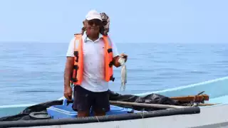 Costa yucateca cierra exitosa temporada de pulpo