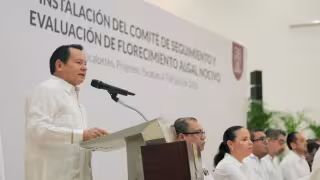 Yucatán blinda sus costas con monitoreo permanente de la marea roja