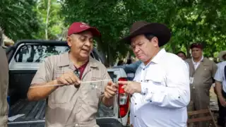 Yucatán fortalece su ganadería con apoyo técnico y genética de alto nivel