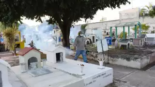 El Gobierno del Renacimiento Maya realizará una amplia jornada de fumigación y control larvario