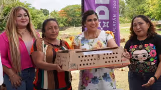 Impulsa DIF Yucatán proyectos productivos con entrega de aves de traspatio en comisarías