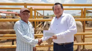 Se entregaron apoyos del programa de Mejoramiento Genético y Repoblamiento Ganadero