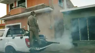 Gobierno del Renacimiento Maya reduce incidencia de dengue en Yucatán