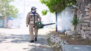 Yucatán reporta 86% menos casos de dengue que en 2025