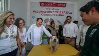 Inicia la Semana Nacional de Vacunación Antirrábica Canina y Felina 2025