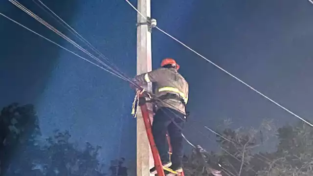 Trabajadores de la paraestatal aseguran que los problemas se deben a la saturación de las líneas, de manera irregular