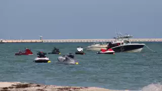 Dueños de casas veraniegas y embarcaciones de recreo piden reforzar la seguridad en Progreso