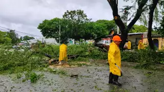 Huracán Helene causó estragos en la Zona Norte de Quintana Roo