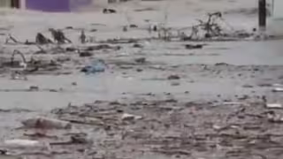 Las lluvias provocaron inundaciones que colapsaron diferentes colonias.