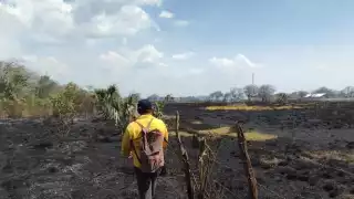 Campeche entra en etapa crítica de incendios forestales con 32 siniestros acumulados