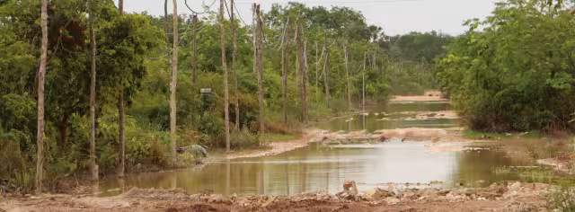 Tras semanas de devastación, residentes y autoridades trabajan para superar los estragos por las lluvias