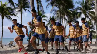 Pumas llega a Playa del Carmen para enfrentar a Venados FC 