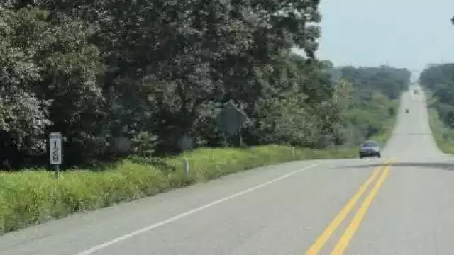 Encuentran sin vida a Canica.